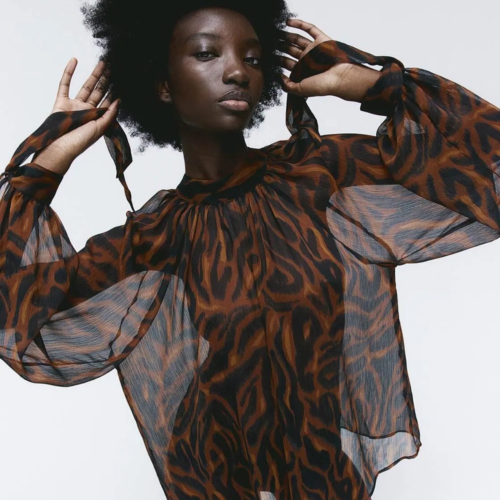 H&M Animal Print Sheer Blouse